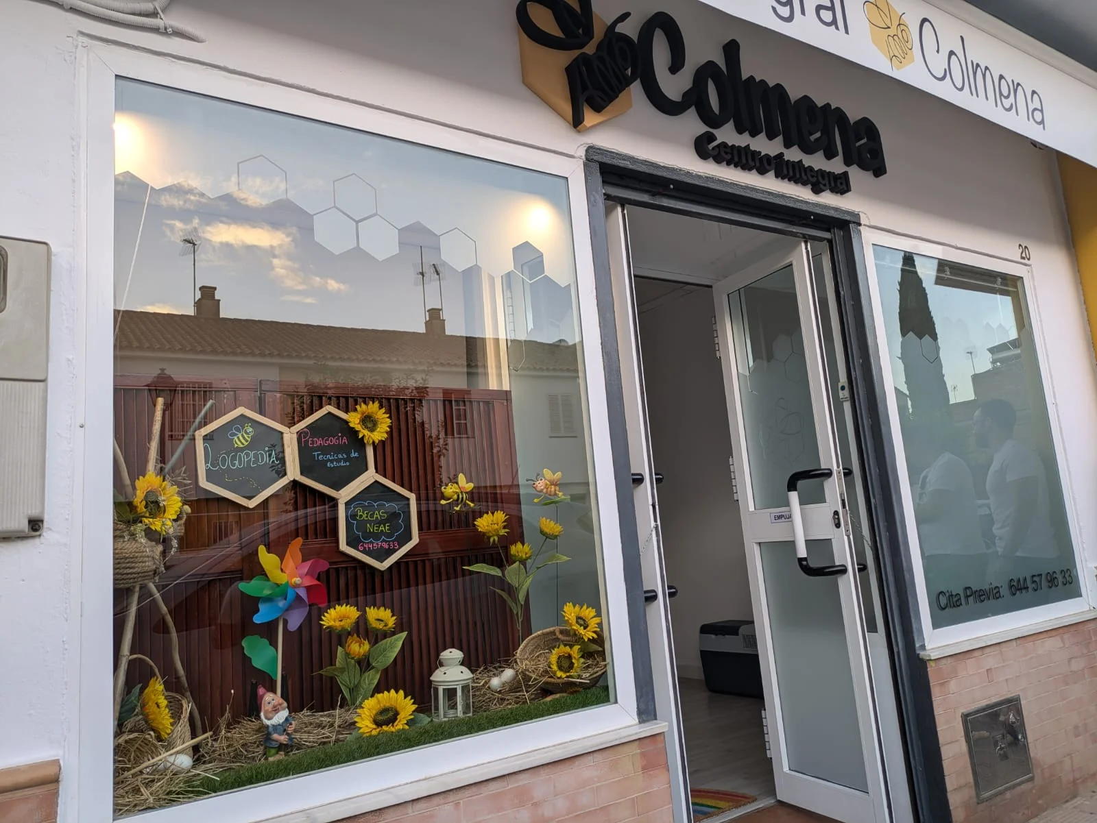 Colmena Centro Integral